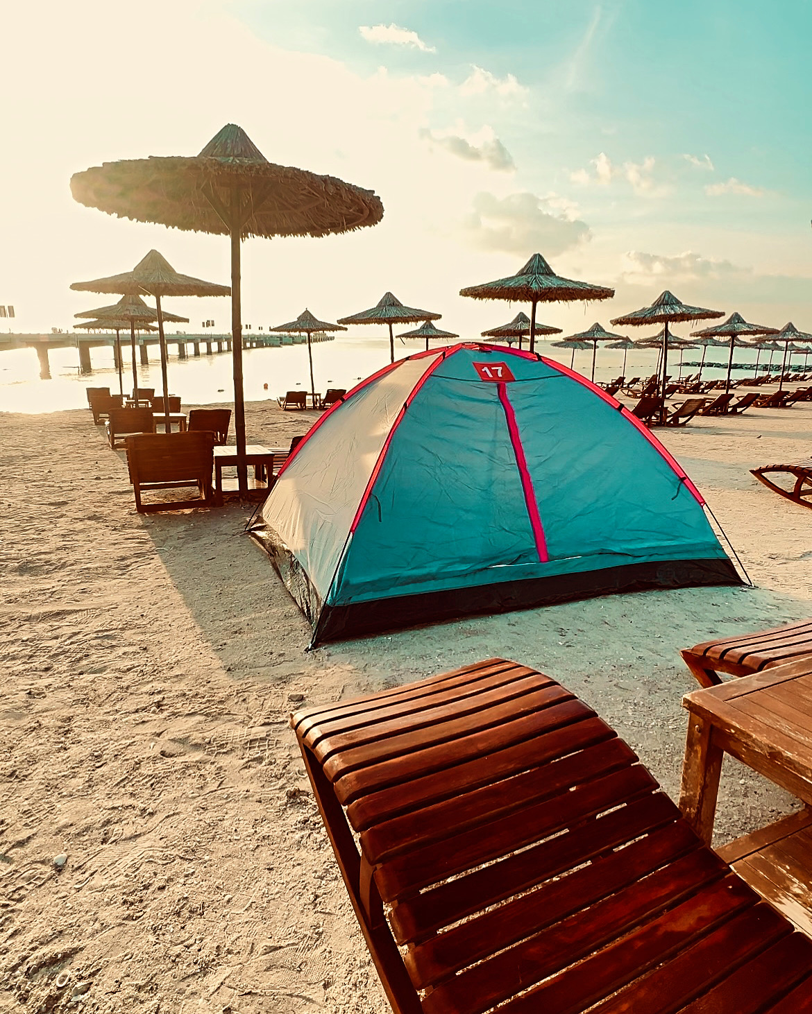 Sir Bani Yas Island Safari Camp Experience (One Day Tent Camping)